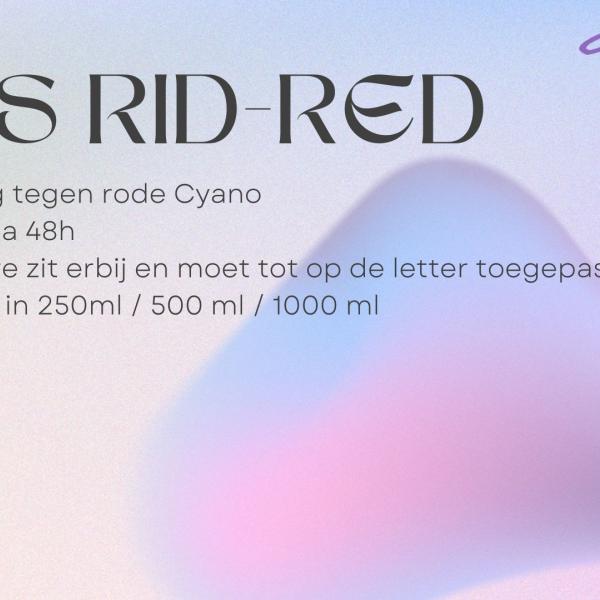 ams Rid-Red nl
